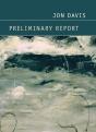 Preliminary Report - Preview