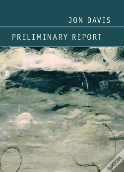 Capa do artigo Preliminary Report