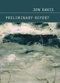 Preliminary Report - Preview