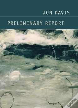Capa do artigo Preliminary Report