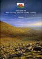 Preludes On The Great Welsh Hymn Tunes - Preview