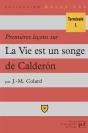 Premières Leçons Sur La Vie Est Un Songe, De Calderón - Preview
