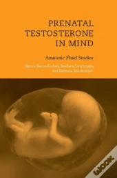 Prenatal Testosterone In Mind