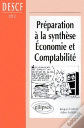 Préparation À La Synthèse Économie Et Comptabilité -  Descf (Uv N° 2)