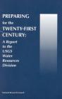 Preparing For The Twenty-First Century - Preview