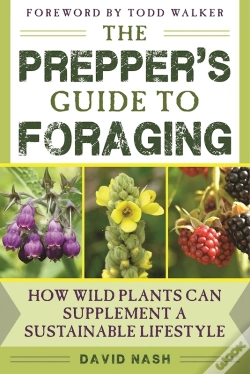 Capa do artigo Prepper'S Guide To Foraging