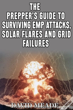 Capa do artigo Prepper'S Guide To Surviving Emp Attacks, Solar Flares And Grid Failures