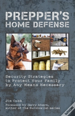 Capa do artigo Prepper'S Home Defense