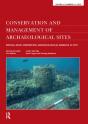 Preserving Archaeological Remains In Situ - Preview