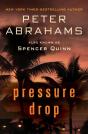 Pressure Drop - Preview