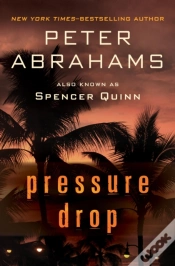 Capa do artigo Pressure Drop