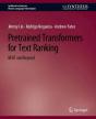 Pretrained Transformers For Text Ranking - Preview