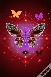 Pretty Butterfly