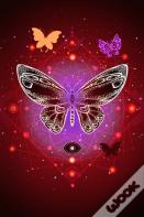 Pretty Butterfly
