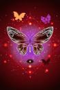Pretty Butterfly - Preview