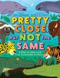 Pretty Close, But Not The Same - Preview