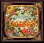 Pretty. Odd - Vinil - Preview