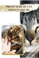 Pretty Sure MУ Cat Doesn'T Like Me