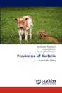 Prevalence Of Bacteria - Preview