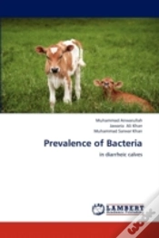 Capa do artigo Prevalence Of Bacteria