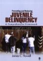 Preventing And Reducing Juvenile Delinquency - Preview