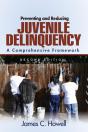 Preventing And Reducing Juvenile Delinquency - Preview