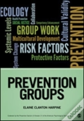 Capa do artigo Prevention Groups