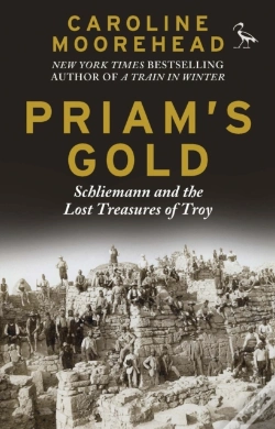 Capa do artigo Priam'S Gold
