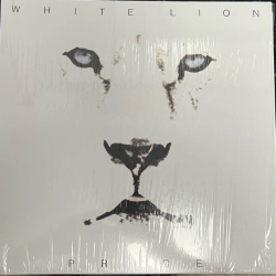 Capa do artigo Pride - Vinil