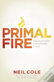 Capa do artigo Primal Fire