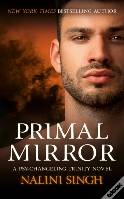 Capa do artigo Primal Mirror