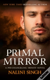 Capa do artigo Primal Mirror