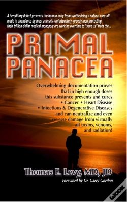 Capa do artigo Primal Panacea
