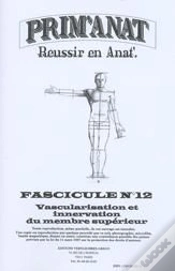 Capa do artigo Prim