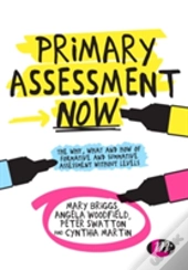 Primary Assessment Now