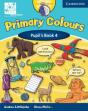 Primary Colours Level 4 Pupil'S Book Abc Pathways Edition - Preview