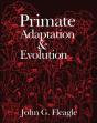 Primate Adaptation And Evolution - Preview