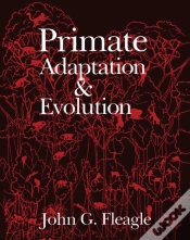 Capa do artigo Primate Adaptation And Evolution