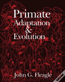 Capa do artigo Primate Adaptation And Evolution