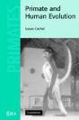 Primate And Human Evolution - Preview