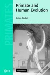 Capa do artigo Primate And Human Evolution