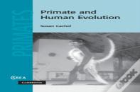 Primate And Human Evolution
