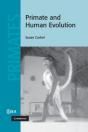Primate And Human Evolution - Preview