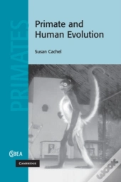 Primate And Human Evolution