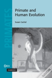 Capa do artigo Primate And Human Evolution