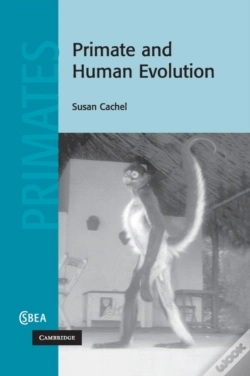 Capa do artigo Primate And Human Evolution