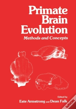 Capa do artigo Primate Brain Evolution