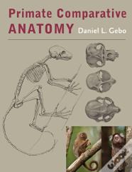 Primate Comparative Anatomy