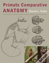 Primate Comparative Anatomy