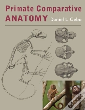 Capa do artigo Primate Comparative Anatomy
